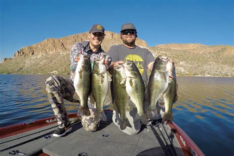 BEST of Phoenix, AZ Fish Pop .
